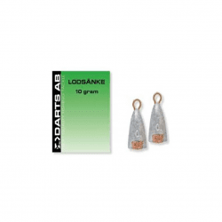 Darts lodsiker 10g 2 pcs