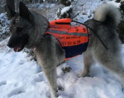 Jaeger og Hund Marking blanket GPS