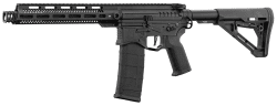 Zion Arms R&D R15 Mod1 AEG