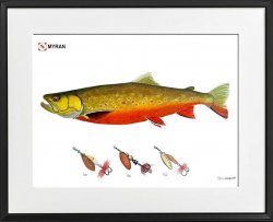 Myran Poster with Frame