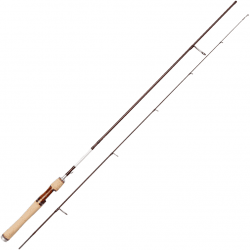 Myran Myrmecia Spinning