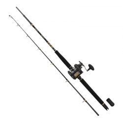 PENN Fathom Havsfiske Combo 2-Speed 30-50lbs