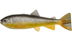 Pulz Bait Roach Skinz 20cm