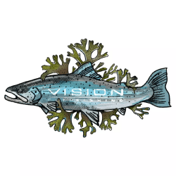 Vision Sticker Seatrout