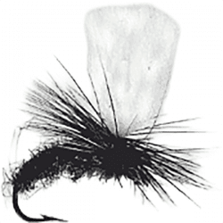 Wiggler Hurricane Fly Torrfluga - Klinkhamer Svart #12