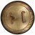 Windlass Cimmerian Shield