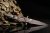 Extrema Ratio BD2 Lucky - Black