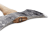 Hultafors Premium Wetterhall Kastyxa