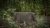 A.Blöchl Skarpo Utility Camouflage Mesh Fabric IR 140x140cm