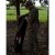 Primos Double Bull - Surroundview 270