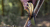 Peltonen M95 Ranger Puukko PTFE with Composite Sheath - Grön