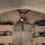 Tasmanian Tiger Plate Carrier MK IV