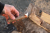 Coghlans Fire Sticks 12pcs