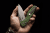 Extrema Ratio BFK Zero N690 - Green Stone Washed