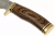 Buck Vanguard Wood Demo