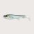 Wolfcreek Shad 17cm 40g