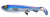 Wolfcreek Shad 30cm 220g