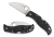 Spyderco RockJumper Lockback