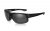 WileyX COMPASS Smoke Grey Matte Black Frame