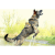K9 Thorn Delta Dog Harness