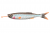 BKK DSS-Worm UVO Dropshot/Rig Hook (Orange) #2