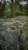 A.Blöchl Skarpo Utility Camouflage Mesh Fabric IR 140x140cm