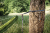Cocoon Hammock Straps Grip