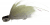Spintube Minnow 5G