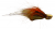 Spintube Minnow 5G