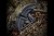 Extrema Ratio K-Talon - Dark Stone