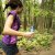 Lifestraw Flex