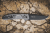 Extrema Ratio MF1 EVO D Tactical - Tactical Grey