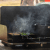 Primus Moto Stove