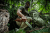 Extrema Ratio Dobermann IV Africa