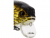 Westin Fatbite Crankbait 5.5 cm / 8 g