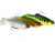 Westin Ricky The Roach Shadtail R2F 18 cm / 113 g