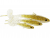 Westin Bullteez Curltail - 8 cm / 3 g 3st