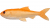Pulz Bait Roach Skinz 15cm 2pcs