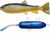 Pulz Bait Starter Kit 20cm 120g