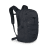 Osprey Quasar 26 26L