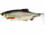 Westin Ricky The Roach Shadtail 18cm / 85g