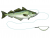 Westin Halibut Anti Twist Rig