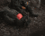 Savotta Rolltop Stuffsack - 210D