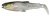 Savage Gear Craft Cannibal Paddletail 8,5cm 7g