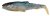 Savage Gear Craft Cannibal Paddletail 10,5cm 12g