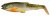 Savage Gear Craft Cannibal Paddletail 10,5cm 12g