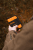 Neverlost License Wallet
