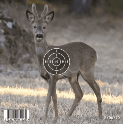 Gyttorp Måltavla Vilda Djur 14x14cm 50st