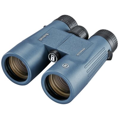 Bushnell H2O 10x42 Roof