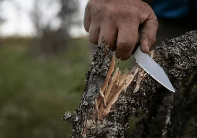 Casström Swedish Field Dresser - Stabilised Curly Birch Kydex